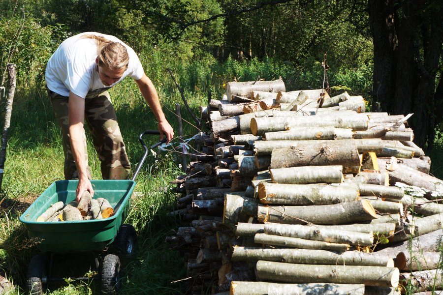 firewood.jpg